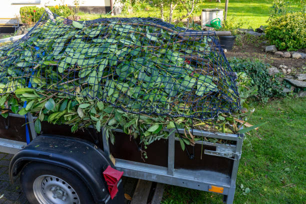 Best Carpet Removal and Disposal  in Matteson, IL